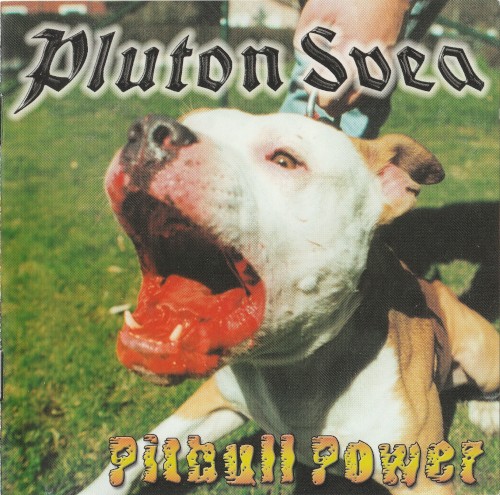 Pitbull Power封面