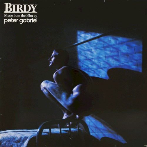 Birdy: Music From the Film封面