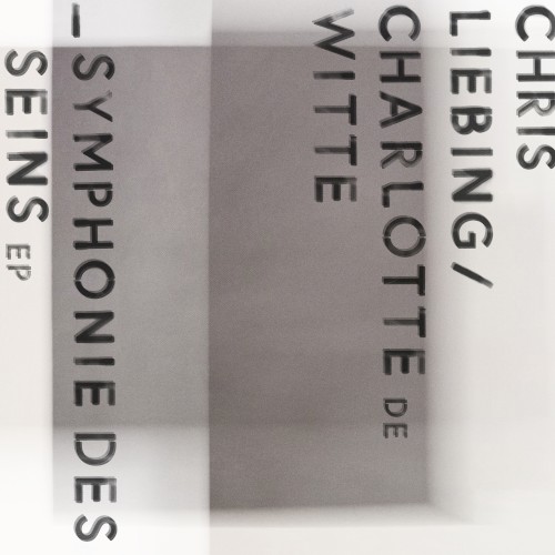 Symphonie des Seins封面