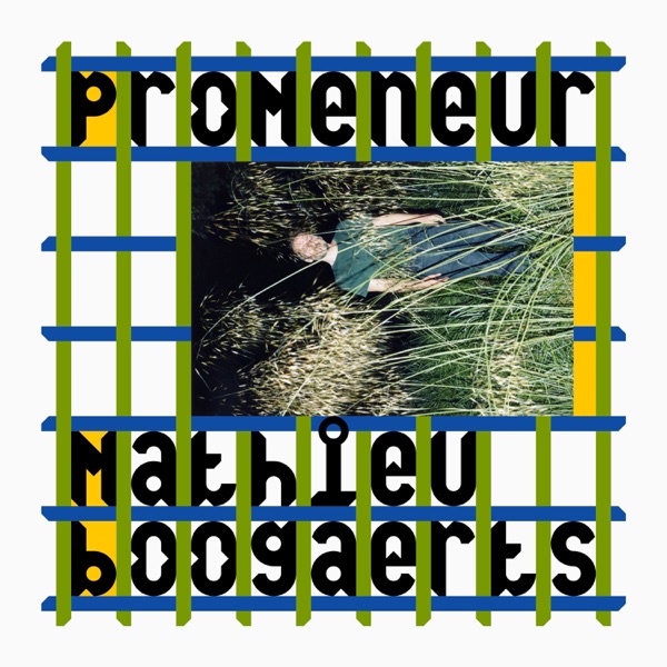 Promeneur封面