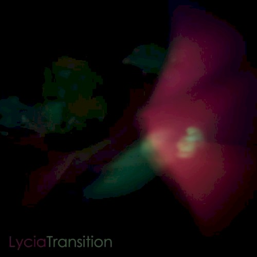 Transition封面