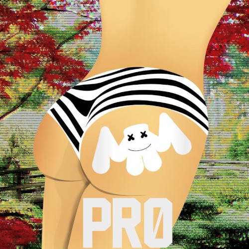 Pr0封面