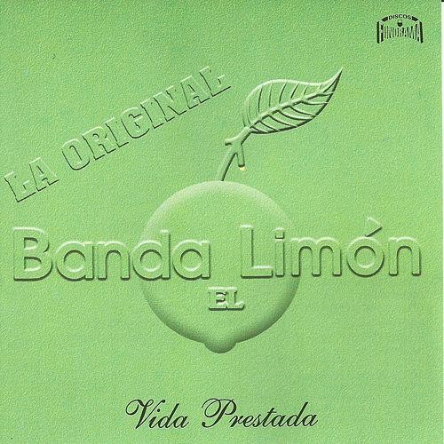 Vida prestada封面