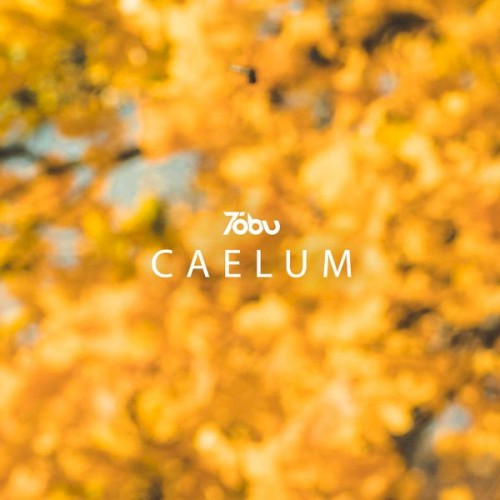 Caelum封面