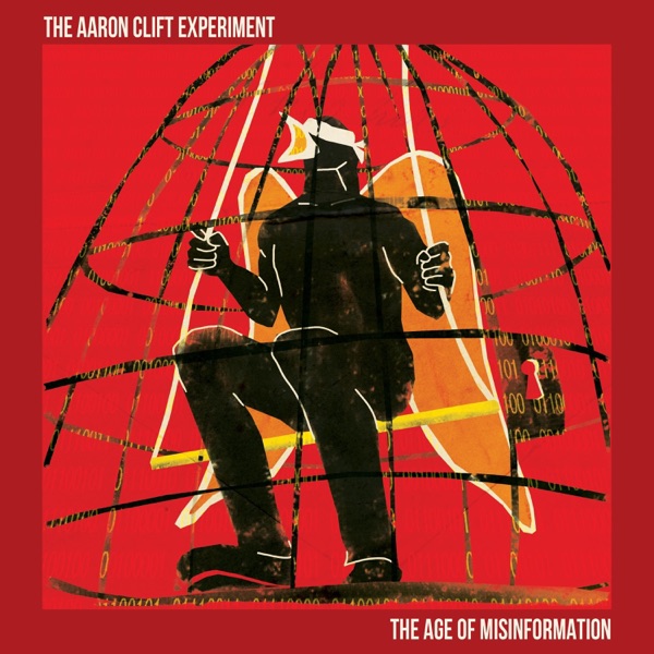 The Age of Misinformation封面