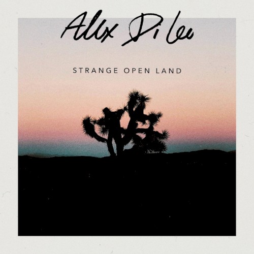 Strange Open Land封面