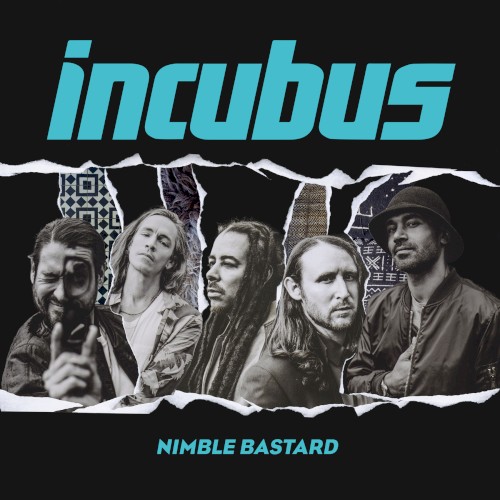 Nimble Bastard封面