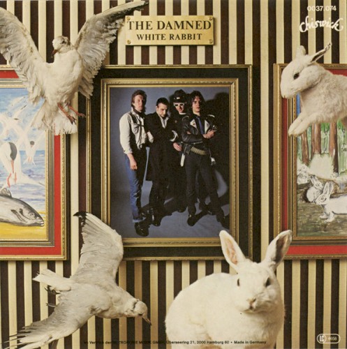 White Rabbit封面
