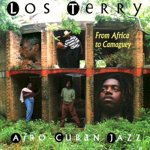From Africa to Camagüey封面
