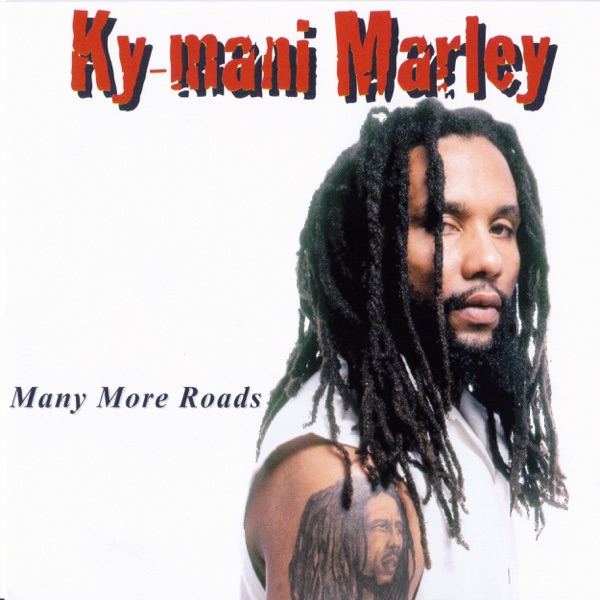 Many More Roads封面