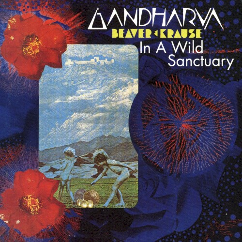In a Wild Sanctuary / Gandharva封面