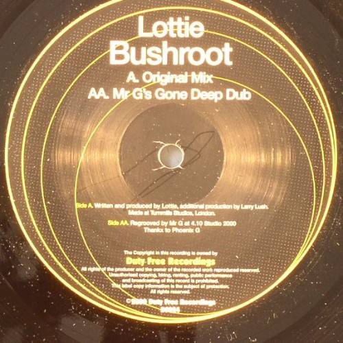 Bushroot封面