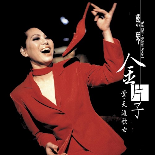 金片子 壹・天涯歌女封面