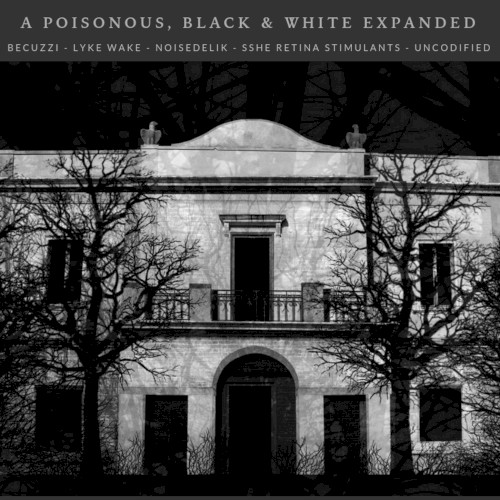 A Poisonous, Black & White Iridescence Across Dangerously Amorphous Urban Landscapes封面