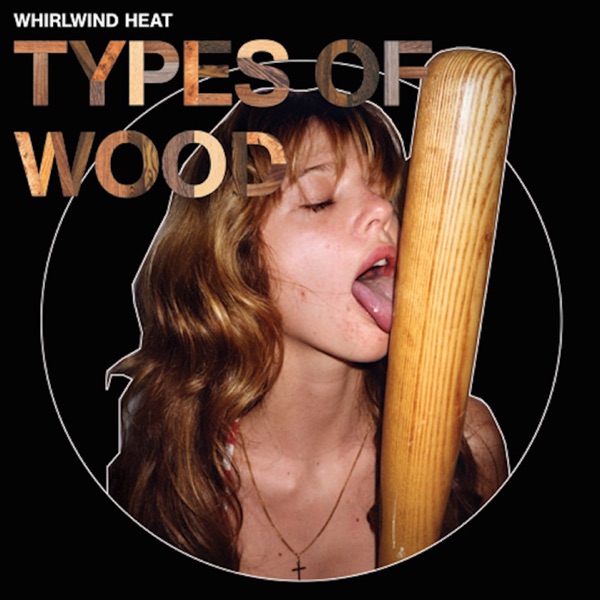 Types of Wood封面