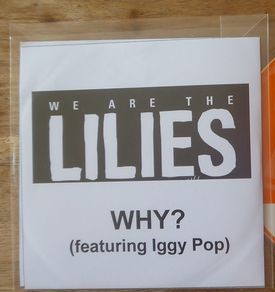 Why?封面