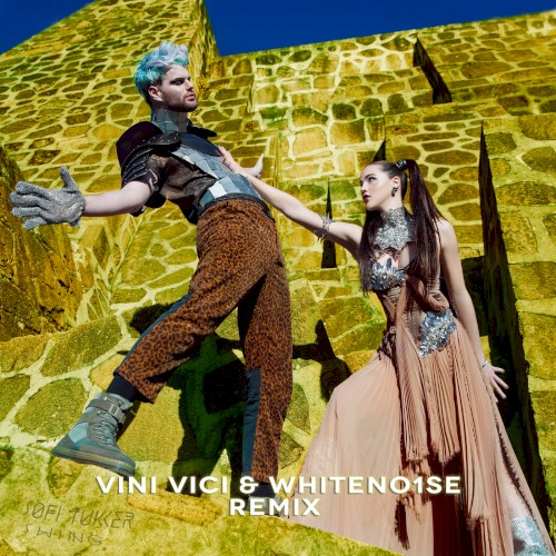Swing (Vini Vici & Whiteno1se remix)封面