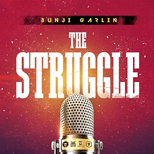 The Struggle封面