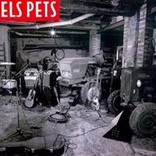 Els Pets封面