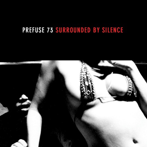 Surrounded by Silence封面