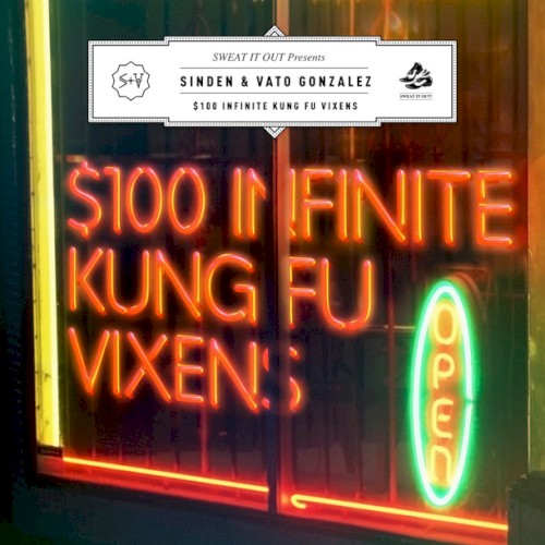 $100 Infinite Kung Fu Vixens封面