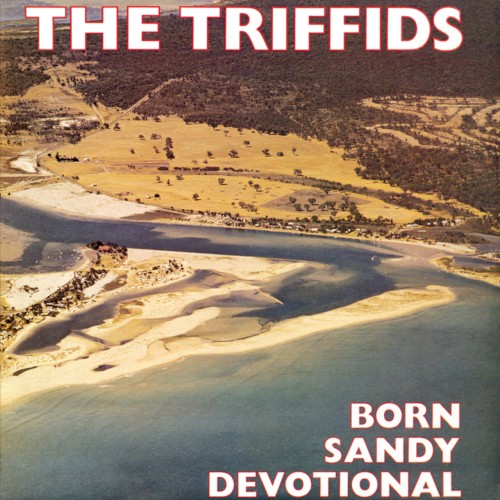 Born Sandy Devotional封面