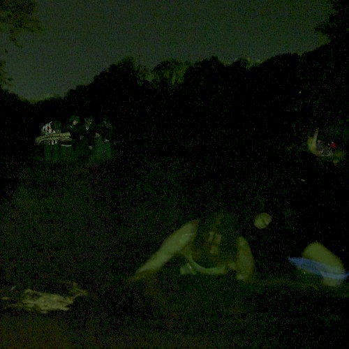 Shed Lake封面