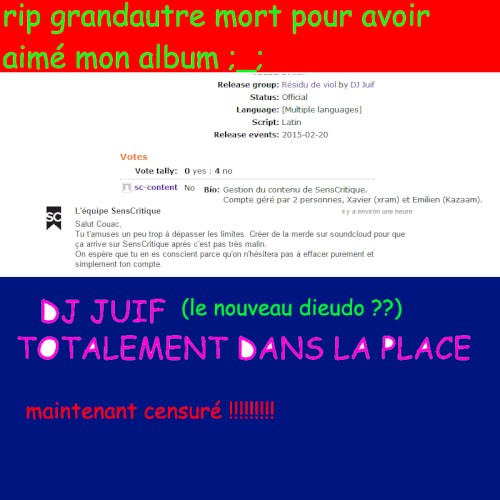 Totalement dans la place封面