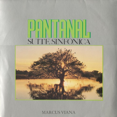 Pantanal - Suíte Sinfônica封面
