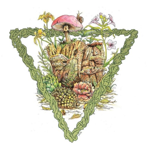 Los Reinos: Plantae封面