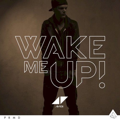 Wake Me Up封面