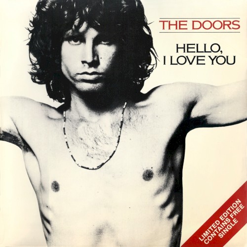 Hello, I Love You封面
