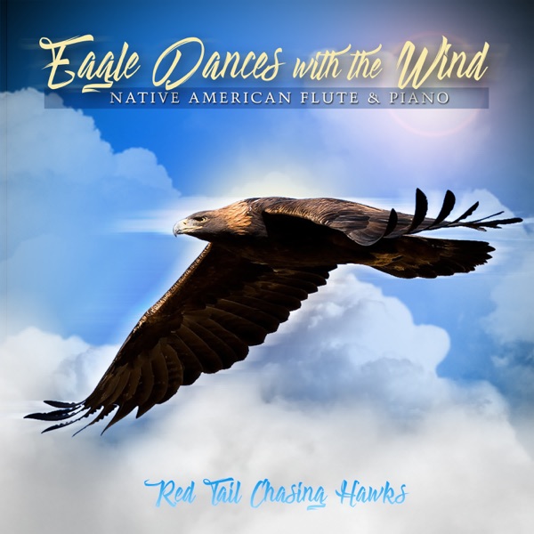 Eagle Dances With The Wind封面