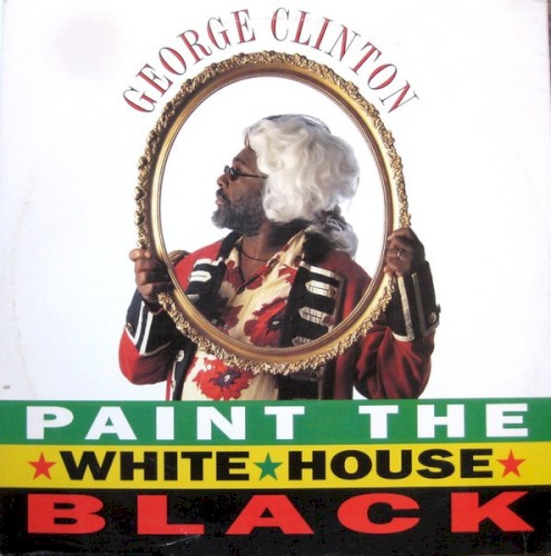 Paint the White House Black封面