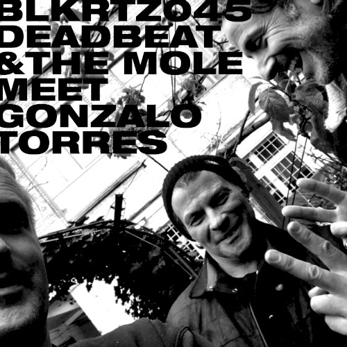 Deadbeat and the Mole Meet Gonzalo Torres封面
