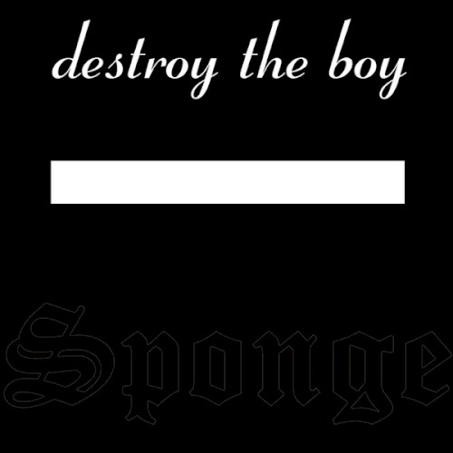 Destroy the Boy封面