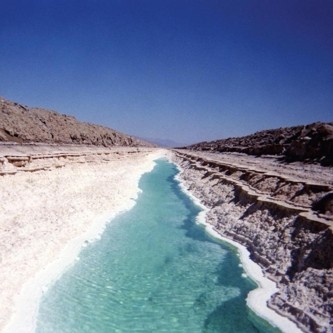 Oleva封面