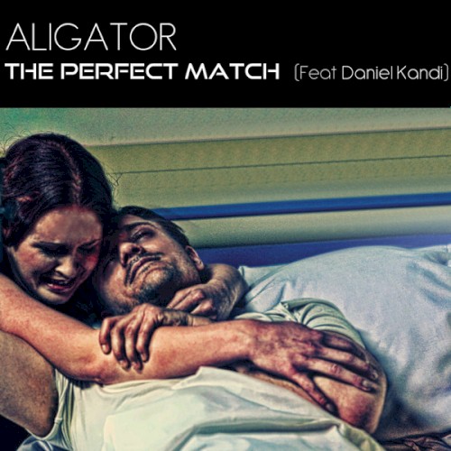 The Perfect Match封面