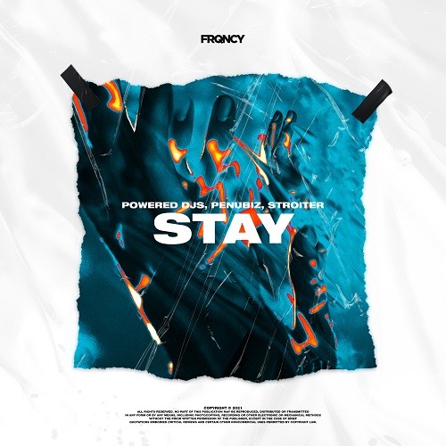 Stay封面