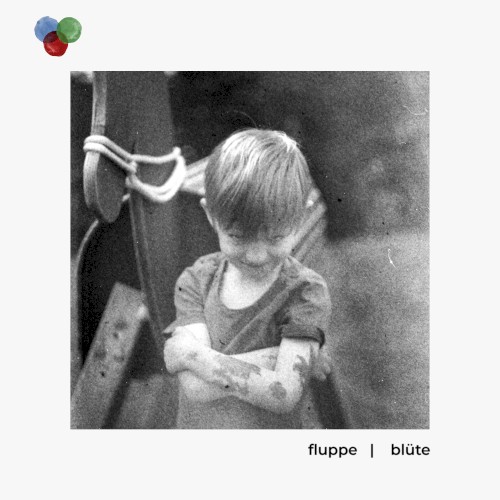 Blüte封面