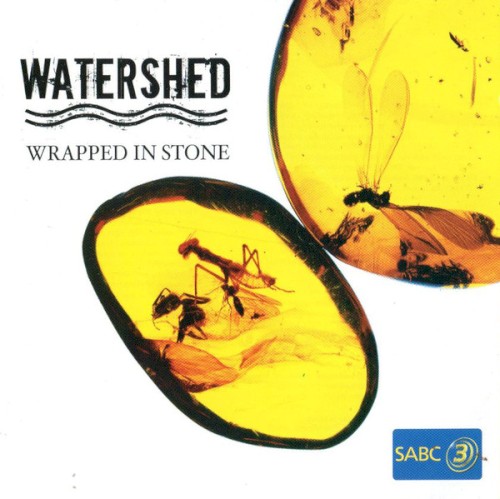 Wrapped in Stone封面