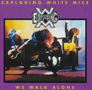 We Walk Alone封面
