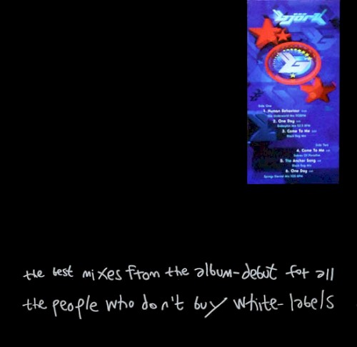 The Best Mixes From the Album – Debut for All the People Who Don’t Buy White‐Labels封面
