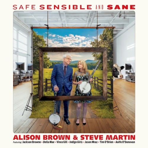 Safe, Sensible and Sane封面