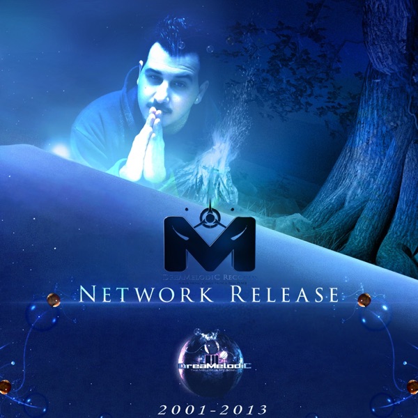 Network Release 2001-2013封面