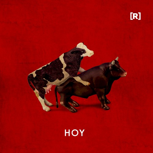 Hoy封面