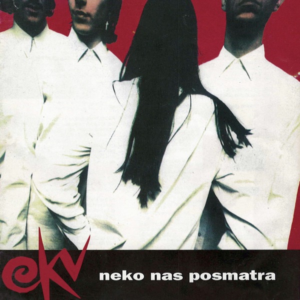 Neko nas posmatra封面