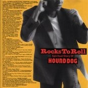Rocks to Roll封面