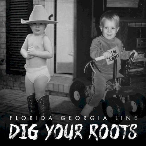 Dig Your Roots封面