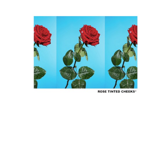 ROSE TINTED CHEEKS *2016 rough draft*封面